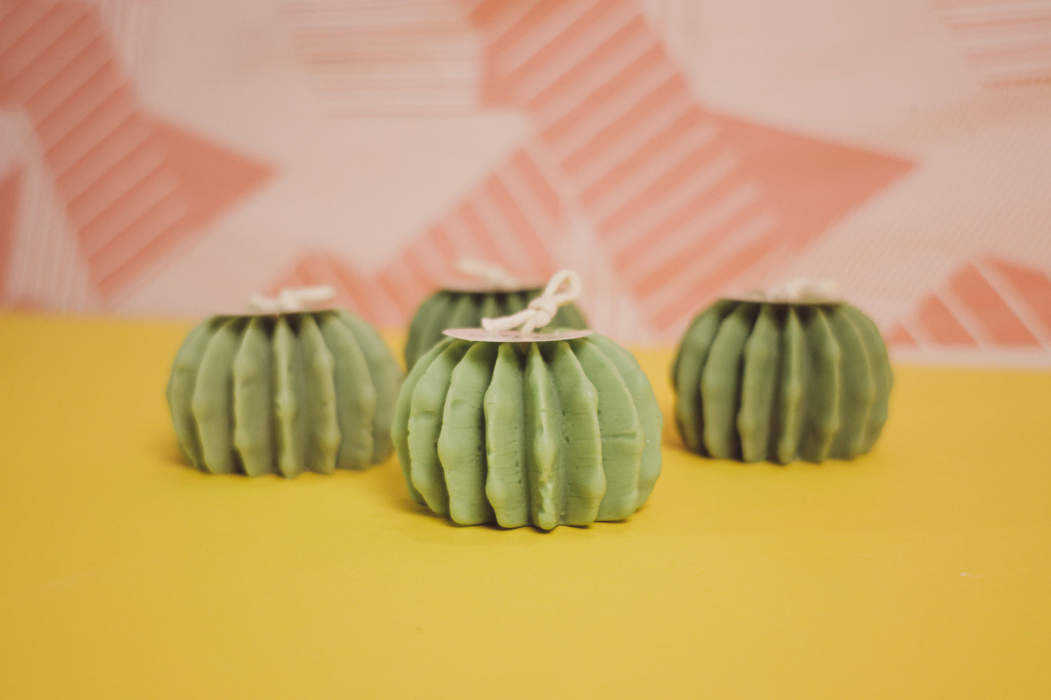 Colección Mar y Desierto