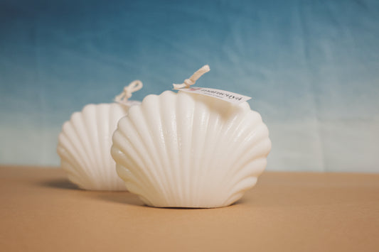 Concha de mar